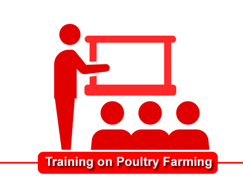 Training on Poultry Farming
